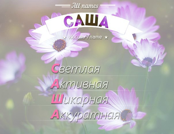ручной саша александр в картинках можем смело