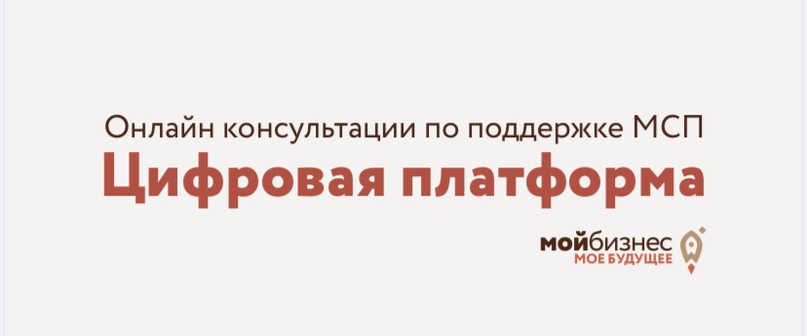 Цифровая платформа поддержки бизнеса в условиях COVID-19, изображение №1